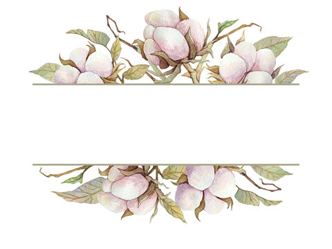 cotton flowers