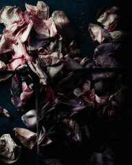 Still life faded blooms