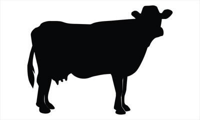 silhouette of a cow