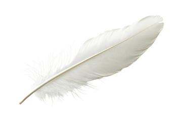 "White Feather Floating with Light, Ethereal Elegance"