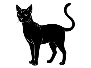 korat cat black silhouette vector, Simple silhouette Design vector icon with white background