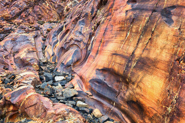 Abrasive erosion as the Viedma glacier retreats, Patagonia
