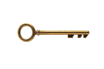 Elegant Bronze Key with Ornate Design