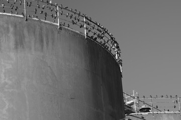 ruins of old factories in the Ravenna dock area
