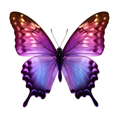 A butterfly with colorful wings. png isolated background. transparent background.
