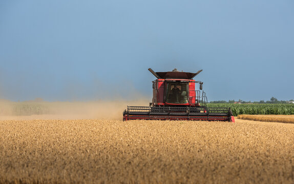 Harvesting combine in the wheat. - Powered by Adobe