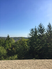 Sunny day with greenery and blue skies