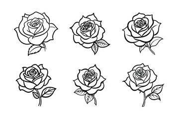 Rose flower vector line art illustration bundle