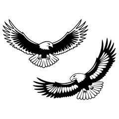 Obraz premium eagle with wings