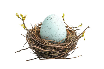 Nest Egg Symbolizing Wealth Accumulation
