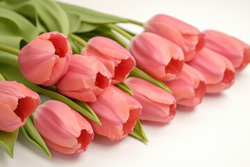 Obraz premium Pink tulips arranged on a clean white surface