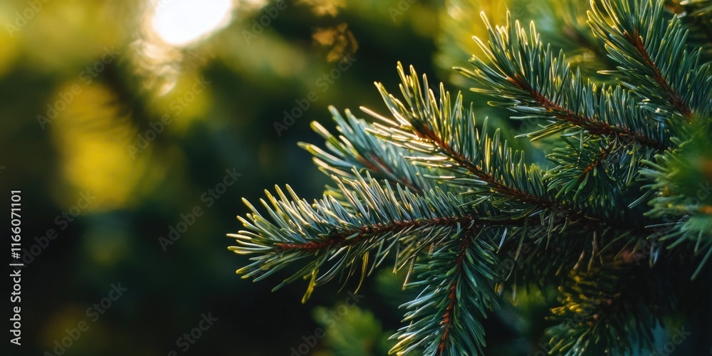 Poster A close-up shot of a pine tree branch with detailed needles and texture