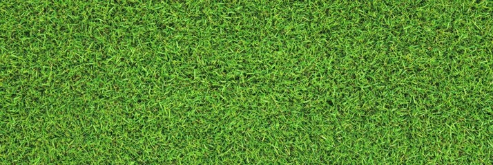 Lush green grass texture, seamless pattern, close-up view, vibrant lawn, sports field turf, natural background, detailed grass blades, fresh spring grass, golf course putting green, manicured lawn, hi