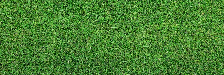 Fototapeta premium Lush green grass texture, seamless pattern, close-up view, vibrant lawn, sports field turf, natural background, detailed grass blades, fresh spring grass, golf course putting green, manicured lawn, hi