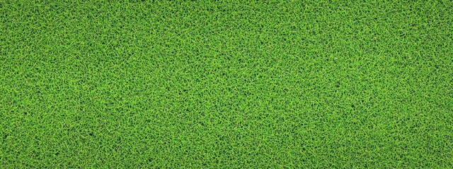 Lush green grass texture, seamless pattern, close-up view, vibrant lawn, sports field turf, natural background, detailed grass blades, fresh spring grass, golf course putting green, manicured lawn, hi