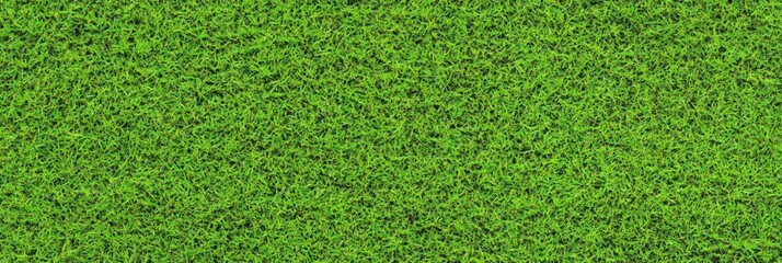 Lush green grass texture, seamless pattern, close-up view, vibrant lawn, sports field turf, natural background, detailed grass blades, fresh spring grass, golf course putting green, manicured lawn, hi