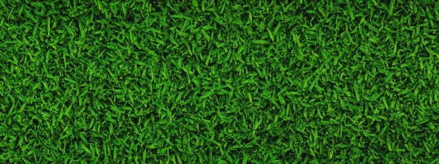 Lush green grass texture, seamless pattern, close-up view, vibrant lawn, sports field turf, natural background, detailed grass blades, fresh spring grass, golf course putting green, manicured lawn, hi