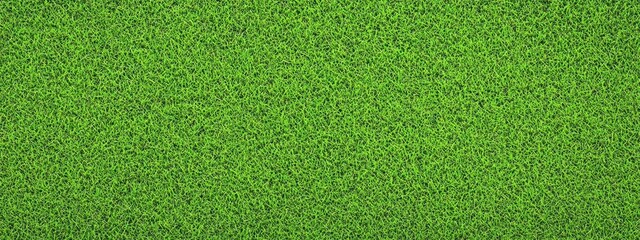 Lush green grass texture, seamless pattern, close-up view, vibrant lawn, sports field turf, natural background, detailed grass blades, fresh spring grass, golf course putting green, manicured lawn, hi