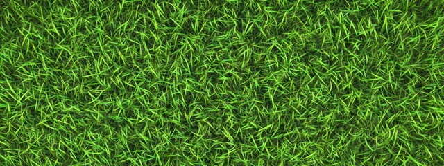 Lush green grass texture, seamless pattern, close-up view, vibrant lawn, sports field turf, natural background, detailed grass blades, fresh spring grass, golf course putting green, manicured lawn, hi