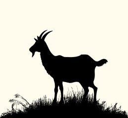 Silhouette of goat in the grass by the lake. Vector drawing