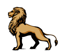 Vector drawing. Lion look for prey