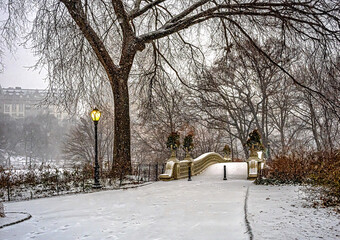 Bow bridge, Central Park, New York City during snowstorm
