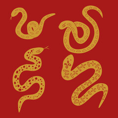 Obraz premium Collection of snake vector graphic