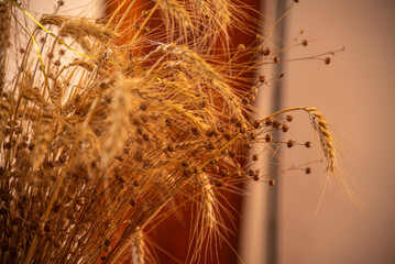 ornamental arrangement with wheat and linseed