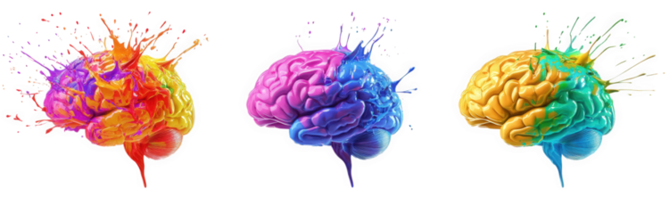 three colorful brain illustrations. each splashed with vibrant paint in various hues. symbolizing creativity. innovation. and the dynamic nature of thoughts and ideas the design emphasizes the connect