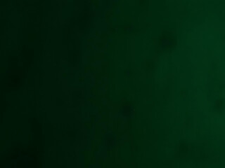 Fototapeta premium green background