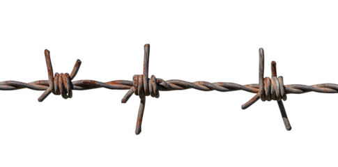 section of rusty barbed wire. showcasing sharp barbs along a twisted metal strand. often used for fencing and security purposes the texture and color indicate weathering over time. emphasizing its ind