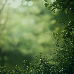 Fototapeta premium Lush Green Foliage in a Serene Forest During Daylight Revealing Nature's Tranquility and Beauty