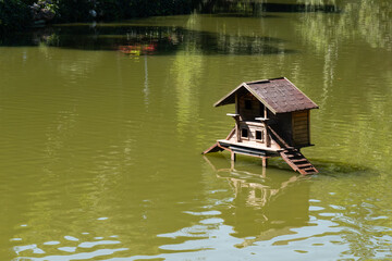 Fototapeta premium Birdhouse Standing Gracefully Over a Serene Lake