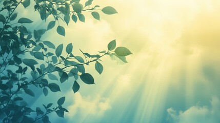 Bright Sunlight Filtering Through Green Leaves Creates a Serene Atmosphere in a Tranquil Natural Setting