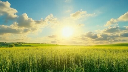 Obraz premium Bright Panoramic Landscape Under Sunlight