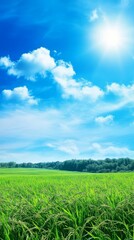Fototapeta premium Bright Sunny Day Over Lush Green Fields With Scattered Clouds and a Vibrant Blue Sky Capturing the Essence of Rural Tranquility and Natural Beauty