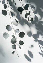 Shadows of Leaves Gracefully Dancing on a Light Surface Create an Artistic and Serene Atmosphere in a Calm Indoor Setting During Daylight