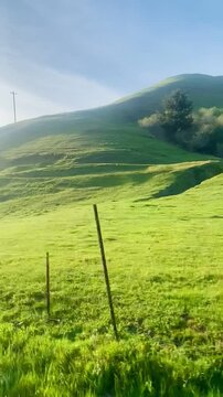 Drive from Sonoma Wine Country to Coastal Jenner, CA
