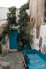 Streets in the Medina of Tunis