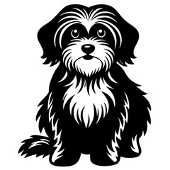 havanese Dog black silhouette vector, Simple silhouette Design vector icon with white background
