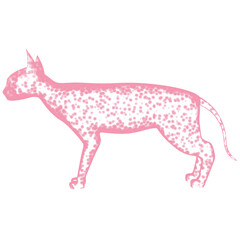 3d rendered glowing hologram of a cat isolated on transparent background