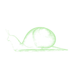 3d rendered glowing hologram of a snail isolated on transparent background