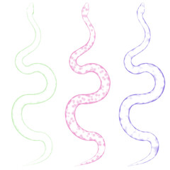 3d rendered glowing hologram of a snake isolated on transparent background