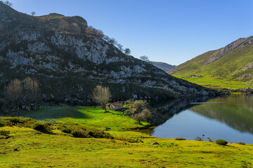 Obraz premium lagos de Covadonga en Asturias