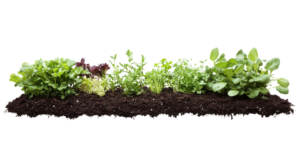 Freshly planted garden bed transparent background