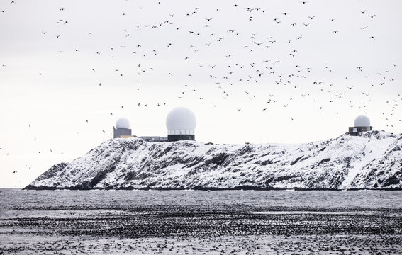 Vardo, Norway:  coast view with globus radar system among large flock of birds  