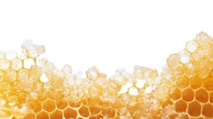 Fresh honeycomb transparent background