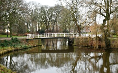 Fototapeta premium bridge in the park