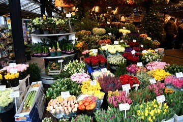 Amsterdam tulip market in December 