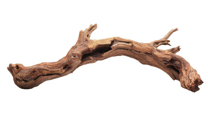 Fototapeta premium Old tree branch transparent background
